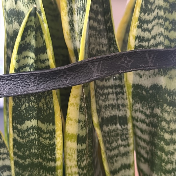 Louis Vuitton Monogram Bracelet - Preloved - Picture 4 of 4